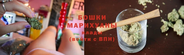 сатива Медвежьегорск