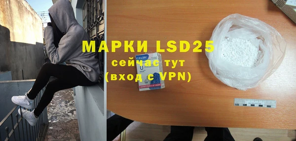 прущие грибы Майский